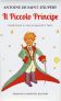 Il Piccolo Principe (Newton Compton Editori)